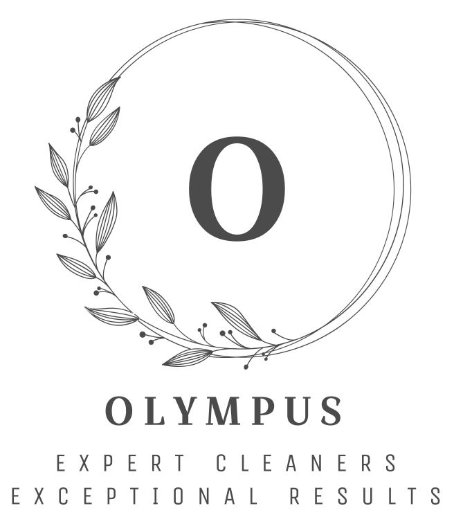 Olympus Cleaning